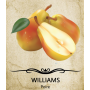 WILLIAMS - Poire