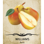 WILLIAMS - POIRE - FRENCH RIVIERA