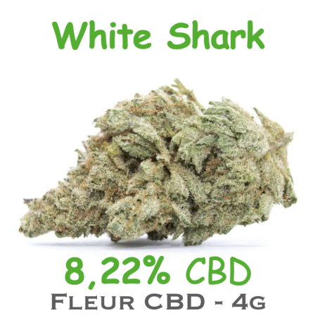 White Shark by DR GREEN - Fleur CBD - 4g - CBD 8,22%