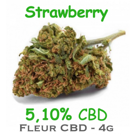 Strawberry - Fleur CBD 5,10%
