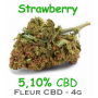 STRAWBERRY - FLEUR CBD 5,10% - DR GREEN