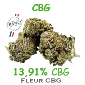 CBG - FLEUR CBG 9,92% - DR GREEN