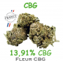 CBG - FLEUR CBG