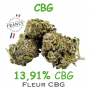 copy of Orange Bud by DR GREEN - CBD Flower GlassHouse - 4g - Origin Italy - THC 0,11% - CBD 9,4%