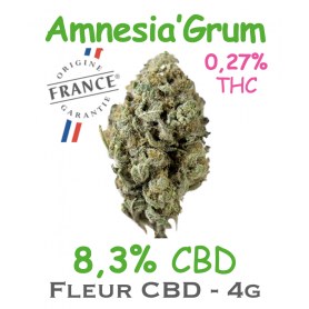 AMNESIA'GRUM - FLEUR CBD