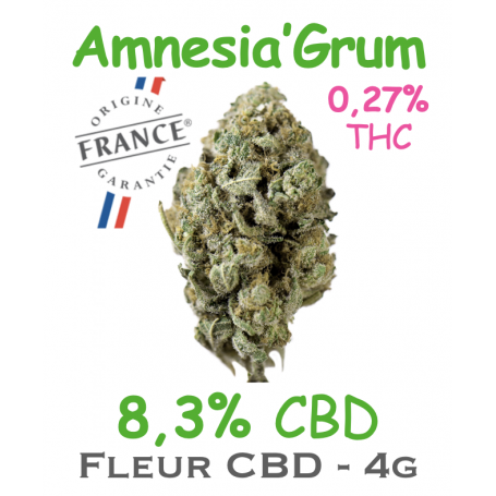 AMNESIA'GRUM - FLEUR CBD