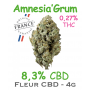 AMNESIA'GRUM - FLEUR CBD