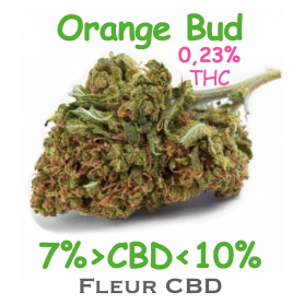 Orange Bud - Fleur CBD