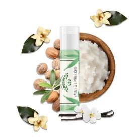 BAUME LÈVRE 5ML - BAUME CBD GREENEO