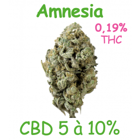 AMNESIA - FLEUR CBD