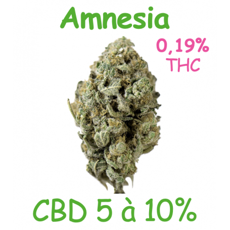 AMNESIA - FLEUR CBD