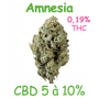 AMNESIA - FLEUR CBD