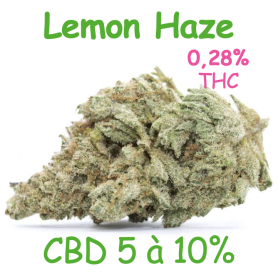 LEMON HAZE - FLEUR CBD