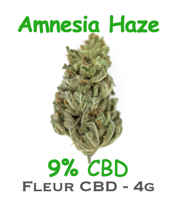 Fleur de CBD Amnesia Haze by DR GREEN